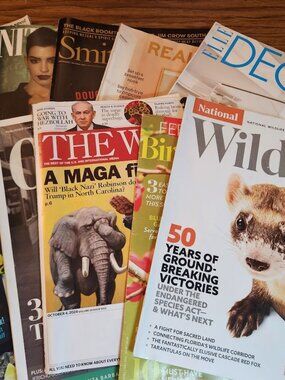Mystery Magazine Bundle Lot of 5 Magazines RANDOM DATES Reading bundle Collage Y